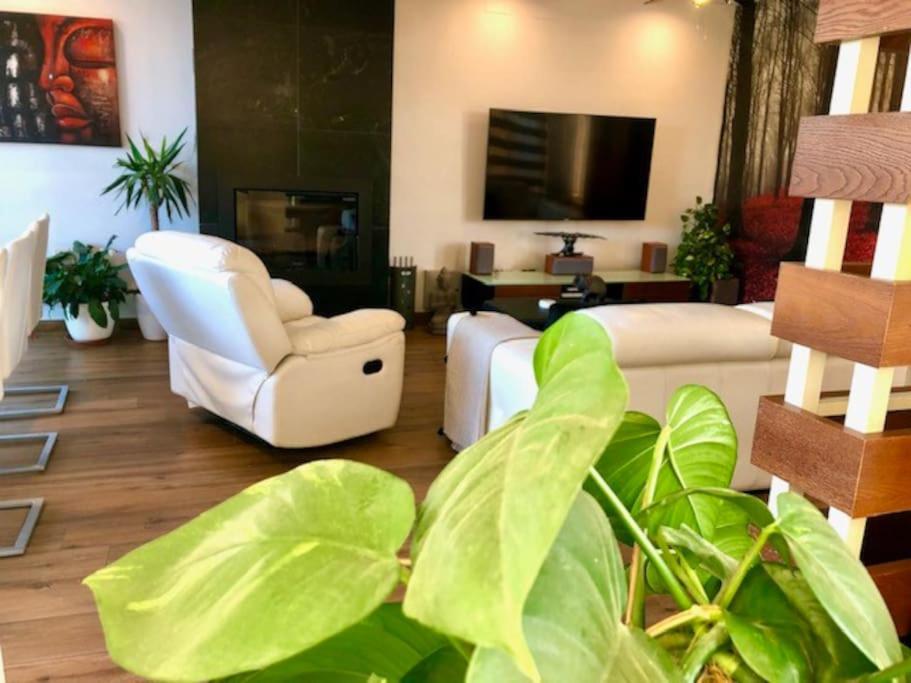 Modern Zen Bali Hotell Puerto Real Eksteriør bilde